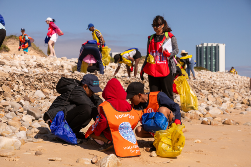 VWSA employees roll up their sleeves to conserve the environment image