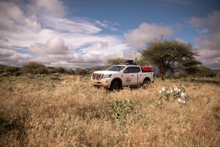 Seven down, one country to go for Nissan Daring Africa 2024 image