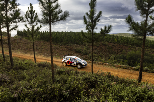 TGRSA SHOWS TENACITY AT THE ALGOA RALLY image