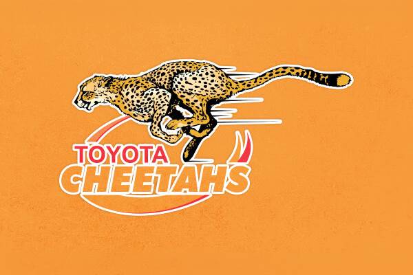TOYOTA CHEETAHS WELCOMES FAF DE KLERK TO THE FAMILY image