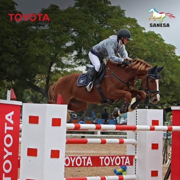 TOYOTA GROWS ITS INVOLVEMENT IN EQUESTRIAN SPORT image
